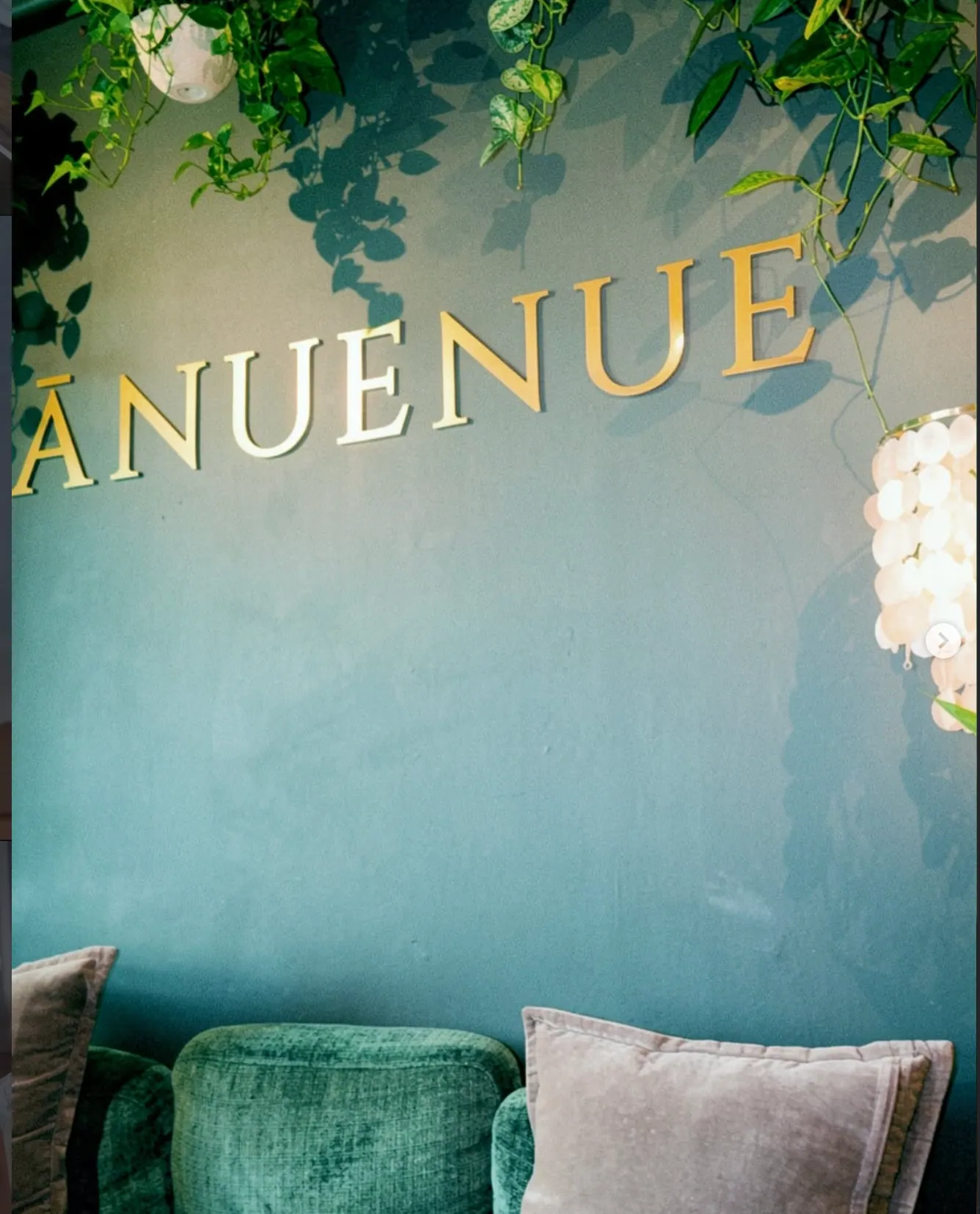 Gold Ānuenue letters on the teal wall, with pothos trailing down from hanging planters